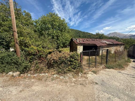 Οικόπεδο με κτίσμα  σε πλειστηριασμό Δήμος Σικυωνίων