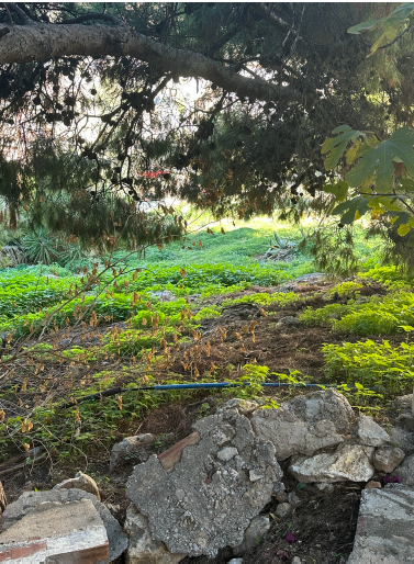 Οικόπεδο  σε πλειστηριασμό Municipality of Nikia - Agios Ioannou Rentis