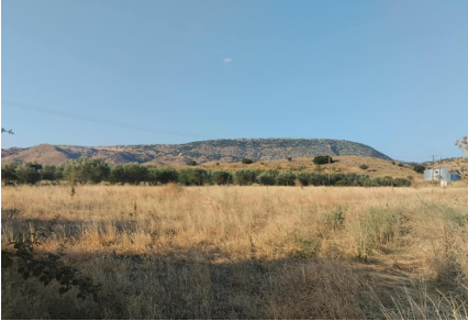 Αγροτεμάχιο  σε πλειστηριασμό Municipality of Farkadona