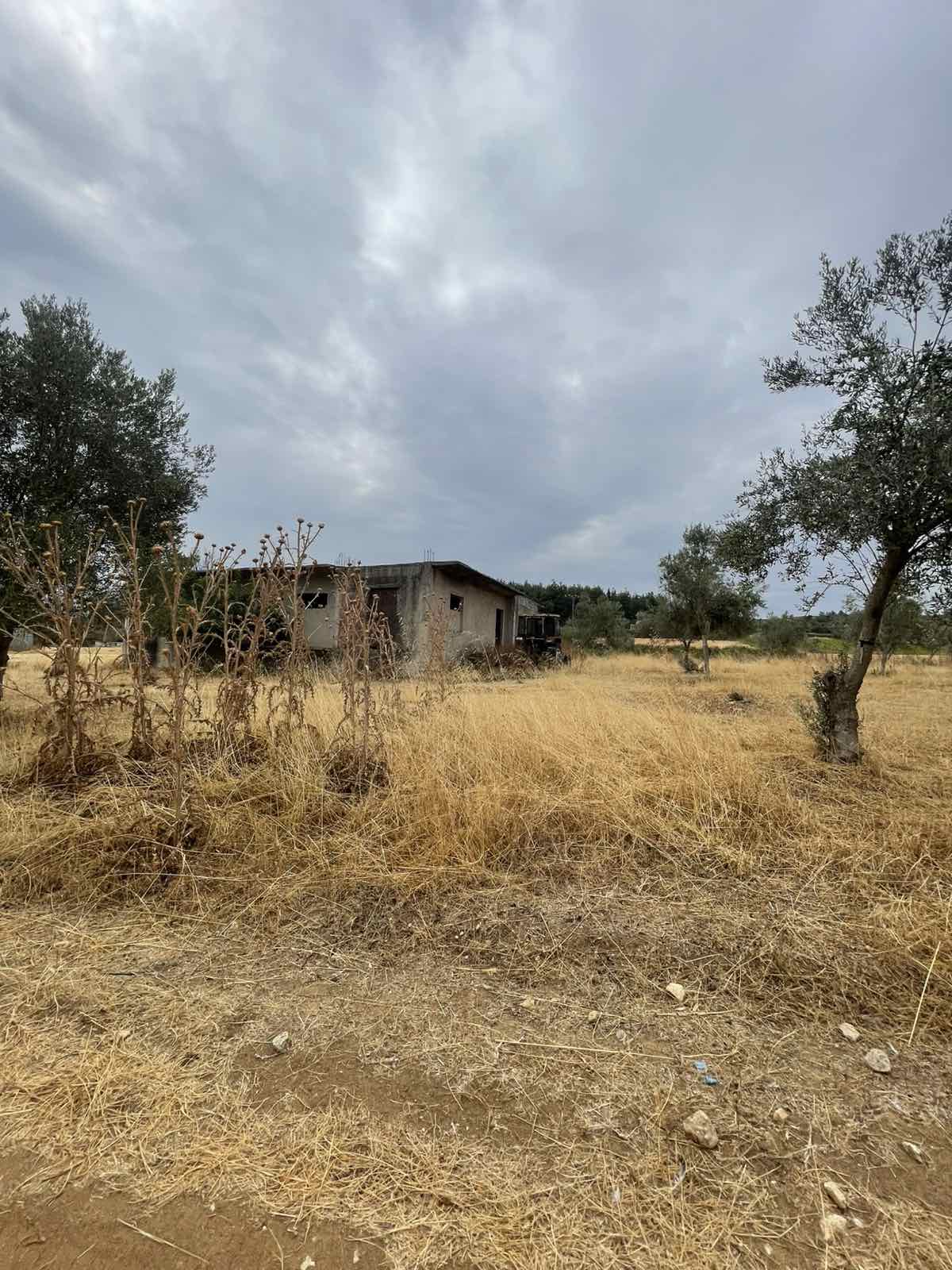 Αγροτεμάχιο με κτίσμα 889 sq.m. σε πλειστηριασμό Municipality of Visaltia