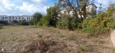 Οικόπεδο με κτίσμα  σε πλειστηριασμό Δήμος Σκοπέλου