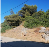 Οικόπεδο 1469.51 τ.μ. σε πλειστηριασμό Δήμος Χίου