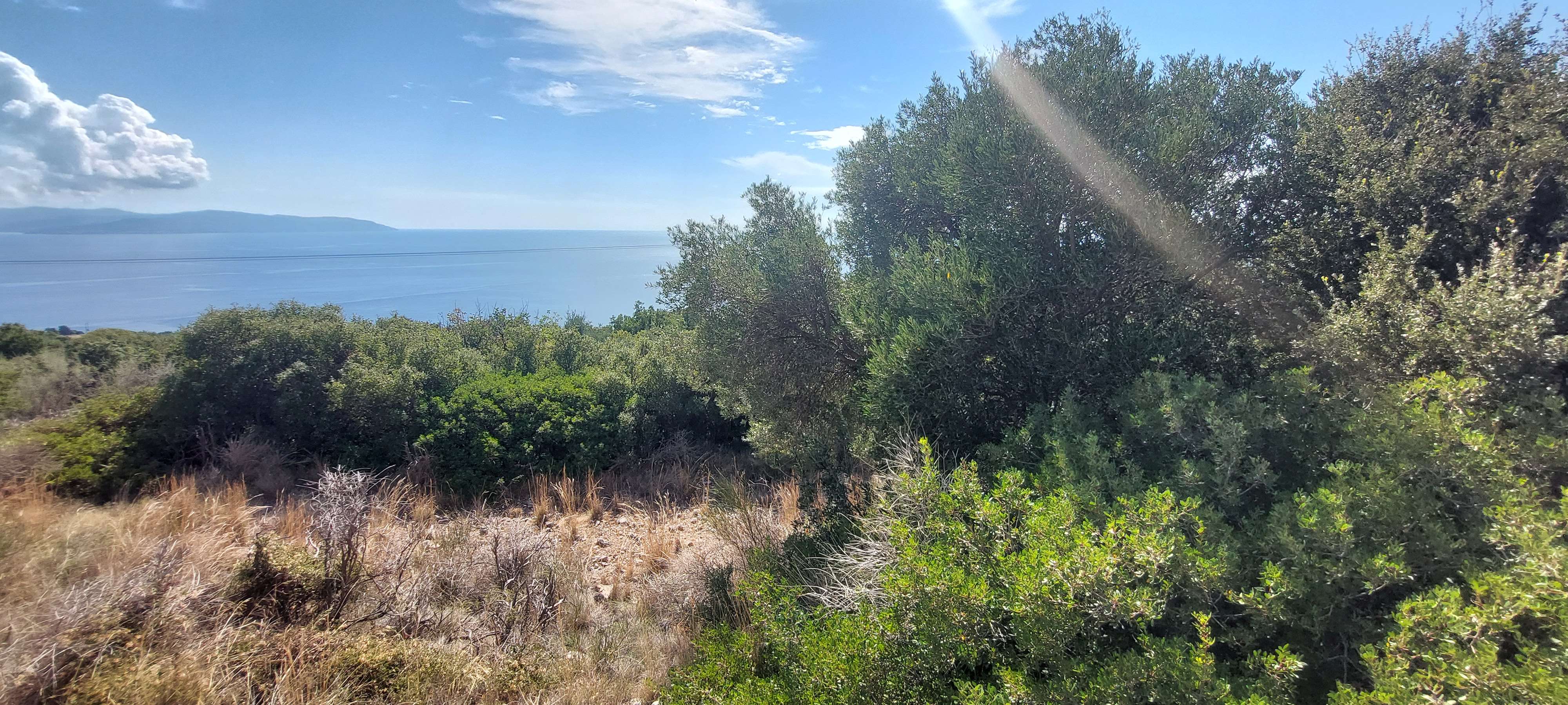 Αγροτεμάχιο  σε πλειστηριασμό Δήμος Κεφαλονιάς