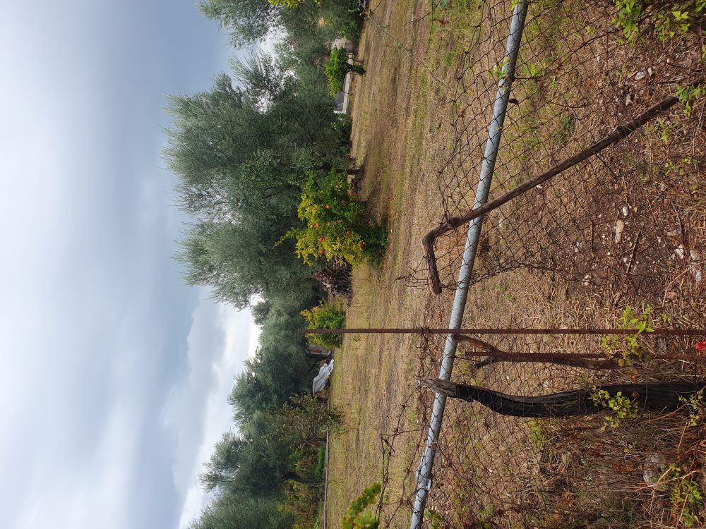 Οικόπεδο  σε πλειστηριασμό Δήμος Ναυπακτίας 