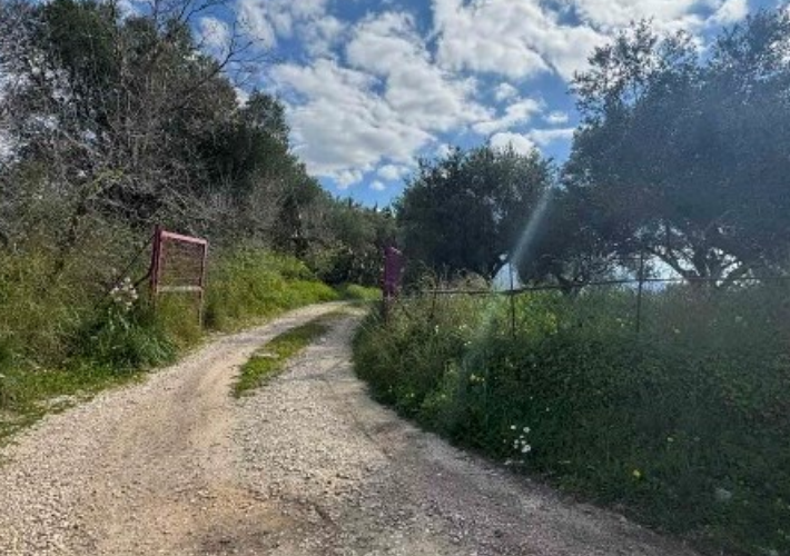 Αγροτεμάχιο 3.632 τ.μ.