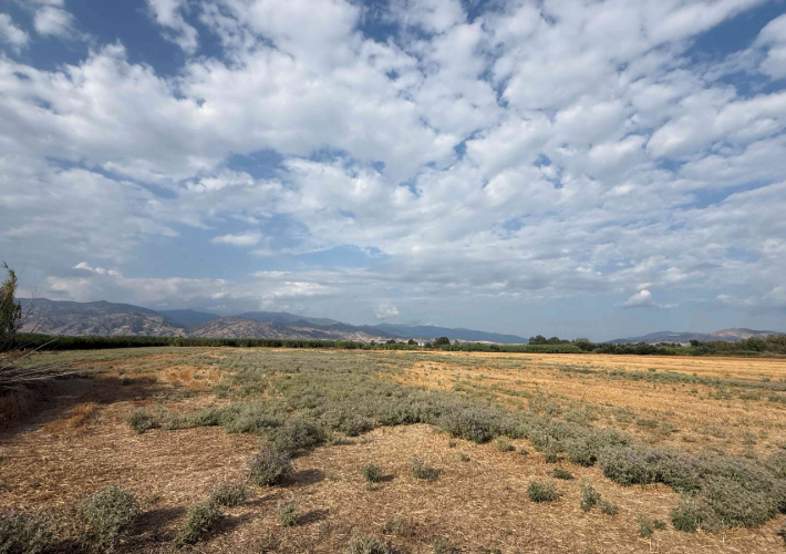 Αγροτεμάχιο 24.109 τ.μ.
