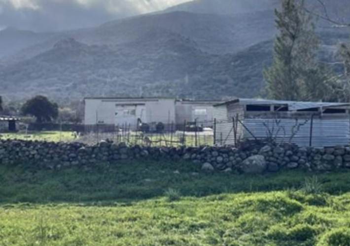 Αγροτεμάχιο 11.719 τ.μ.