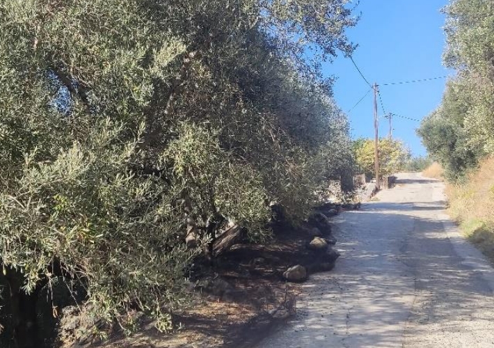 Οικόπεδο 1.161 τ.μ.