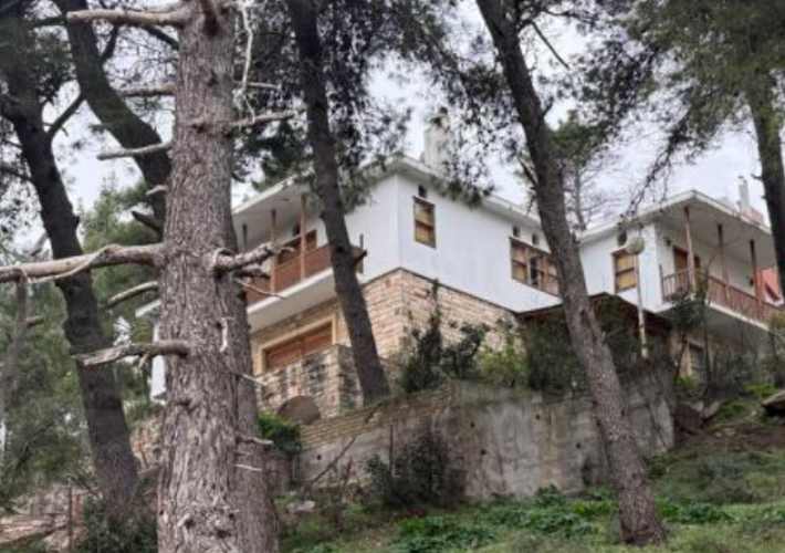 Μονοκατοικία 597 τ.μ.