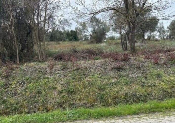 Αγροτεμάχιο 17.080 τ.μ.