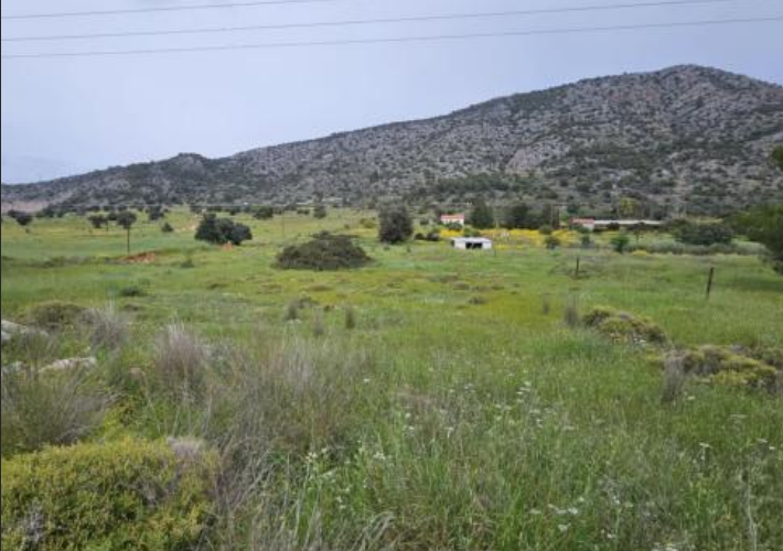 Αγροτεμάχιο 4.247 τ.μ.