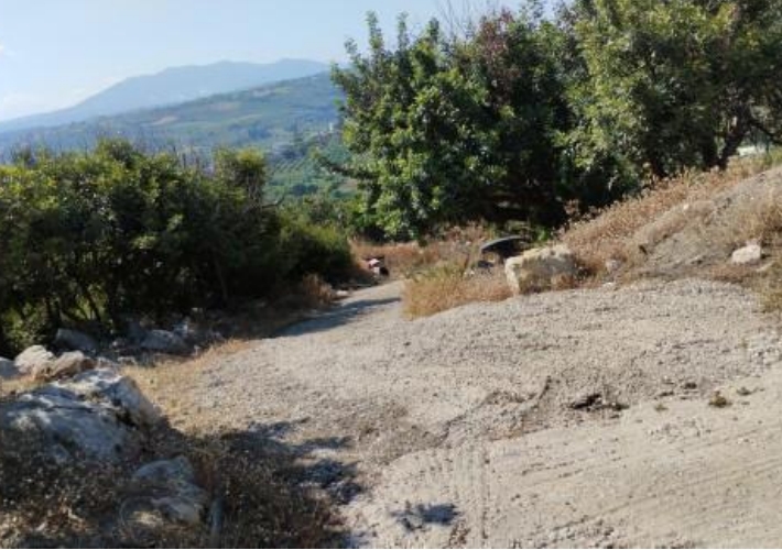 Αγροτεμάχιο 8.503 τ.μ.