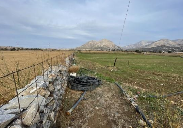 Αγροτεμάχιο 6.000 τ.μ.