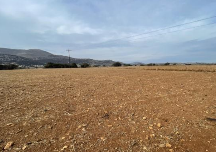 Αγροτεμάχιο 6.000 τ.μ.