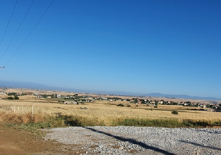 Αγροτεμάχιο 6.500 τ.μ.