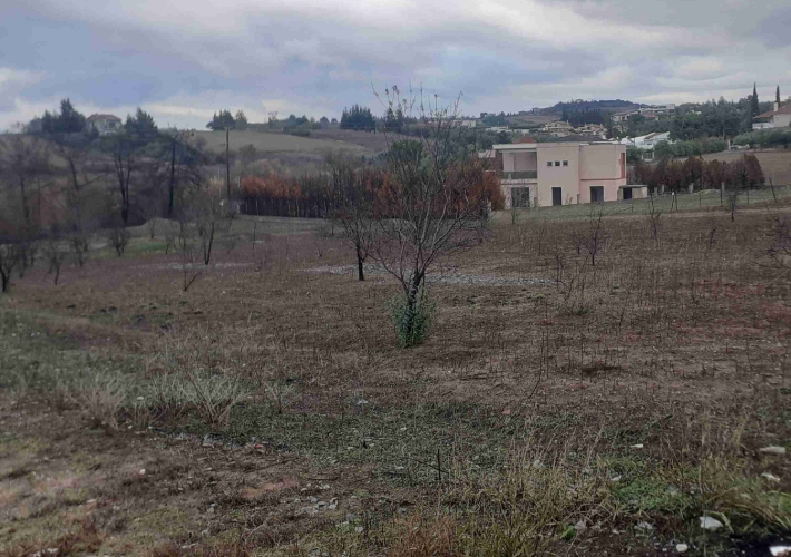 Αγροτεμάχιο 4.261 τ.μ.