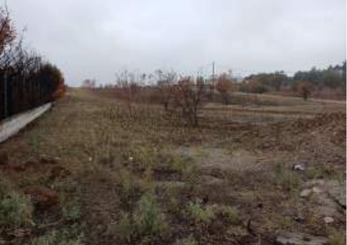 Αγροτεμάχιο 4.259 τ.μ.