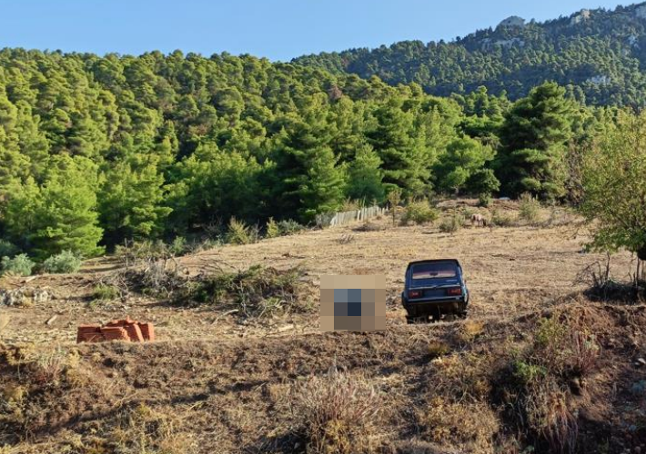 Αγροτεμάχιο 18.556 τ.μ.