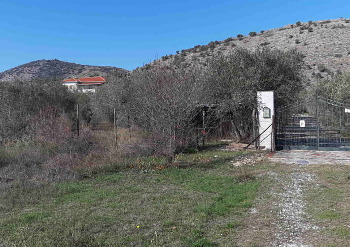 Μονοκατοικία 309 τ.μ.