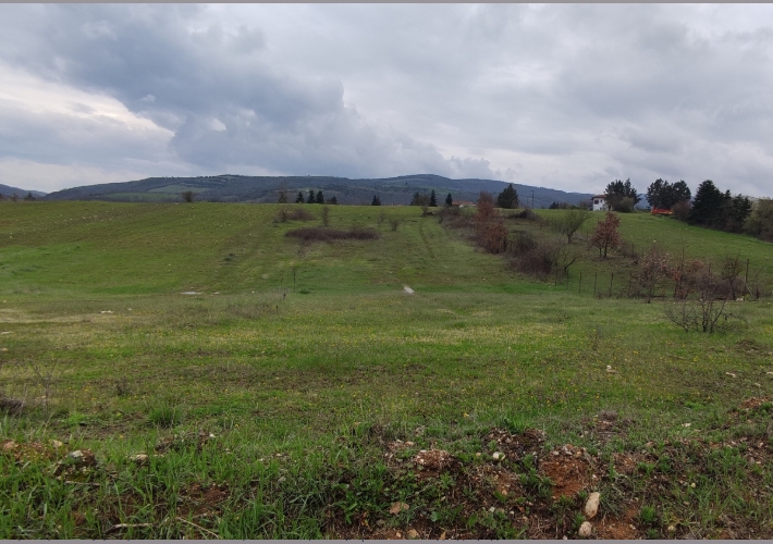 Οικόπεδο 2.877 τ.μ.