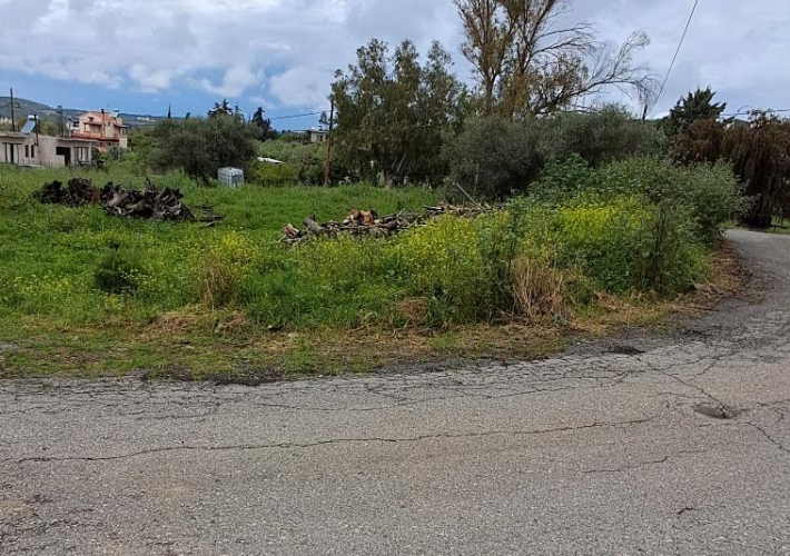 Οικόπεδο 567 τ.μ.