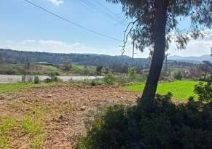 Αγροτεμάχιο 2.024 τ.μ.