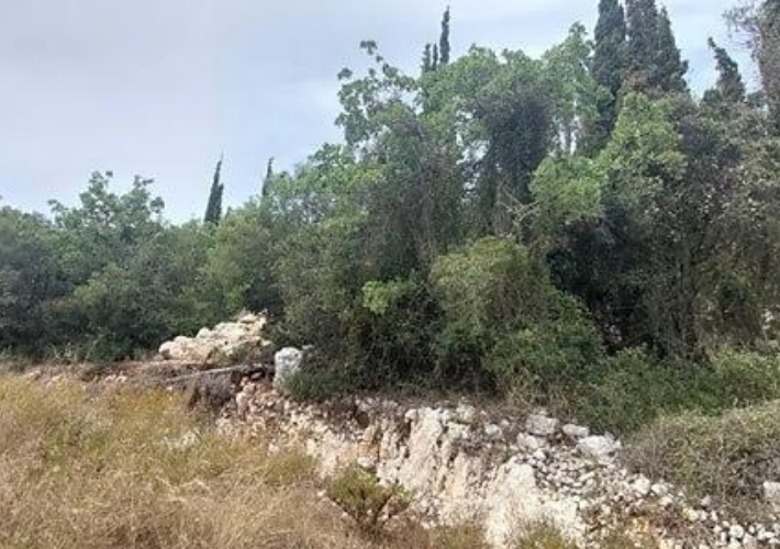 Οικόπεδο 2.629 τ.μ.