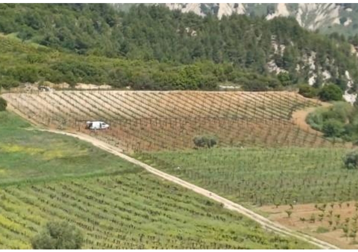 Αγροτεμάχιο - αμπελώνας 20.000 τ.μ.