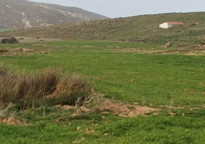 Αγροτεμάχιο 20.000 τ.μ.