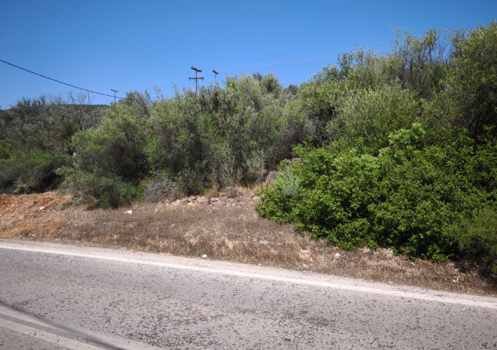 Αγροτεμάχιο 495 τ.μ.