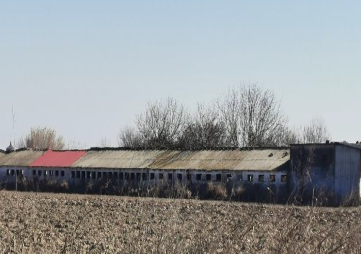 Χοιροτροφική μονάδα 1.174 τ.μ.