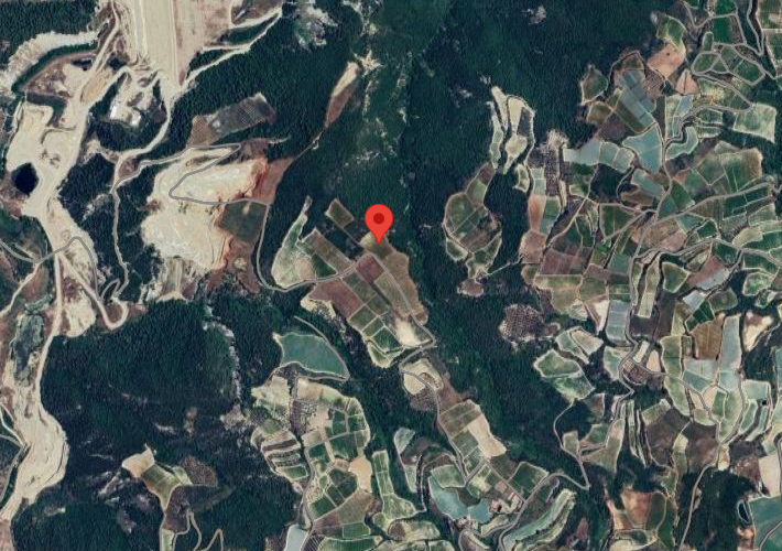 Αγροτεμάχιο - αμπελώνας 20.000 τ.μ.