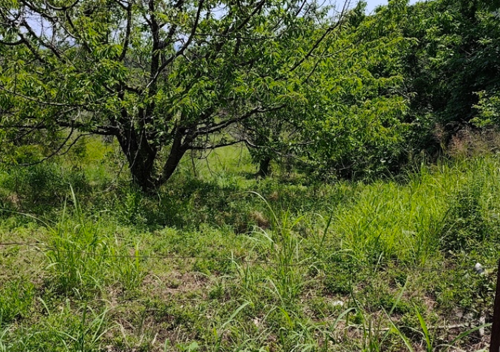 Οικόπεδο 2.881 τ.μ.