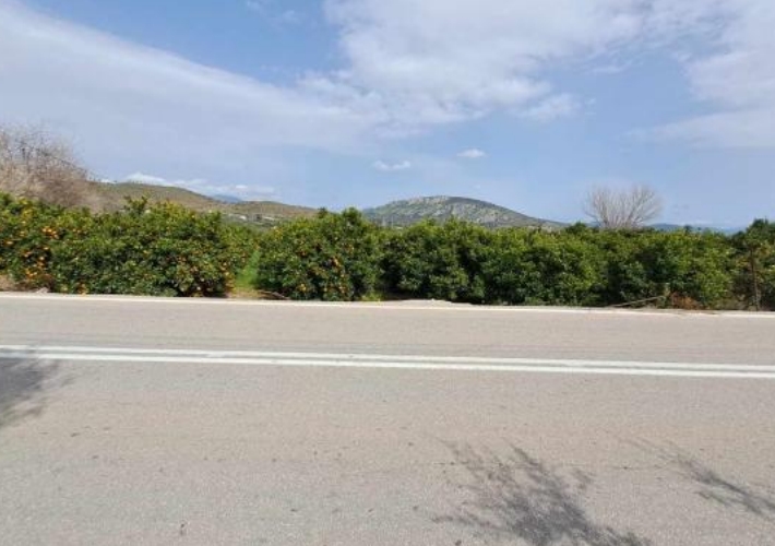 Αγροτεμάχιο 7.319 τ.μ.