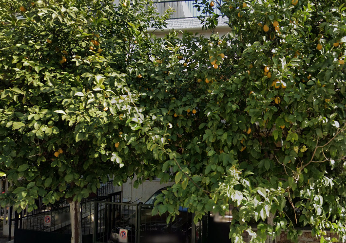 Μονοκατοικία 170 τ.μ.