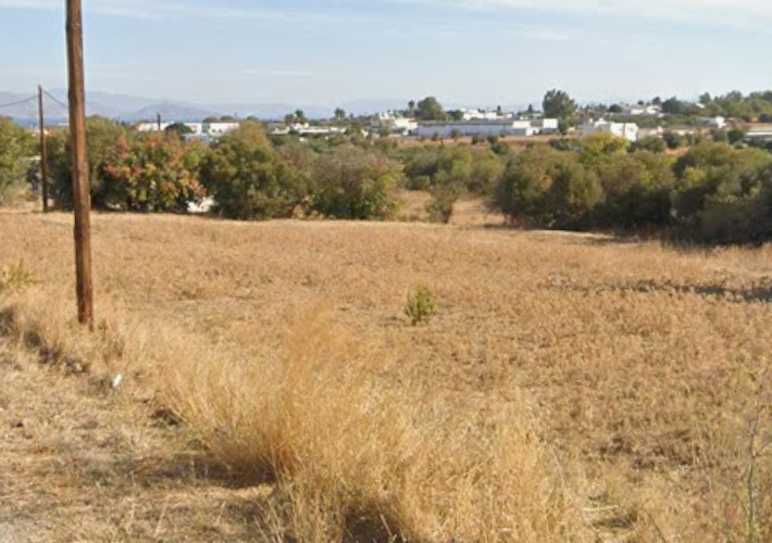 Αγροτεμάχιο 4.600 τ.μ.